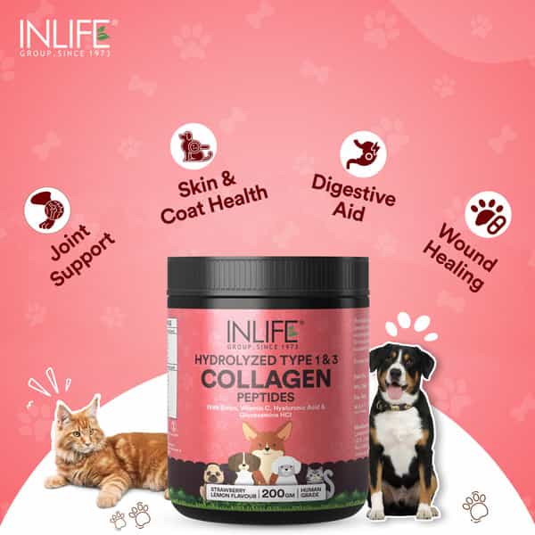 Inlife Collagen For Dogs & Cats| Hydrolyzed Collagen Powder | 200G (Strawberry & Lemon)