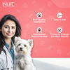 Inlife Collagen For Dogs & Cats| Hydrolyzed Collagen Powder | 200G (Strawberry & Lemon)
