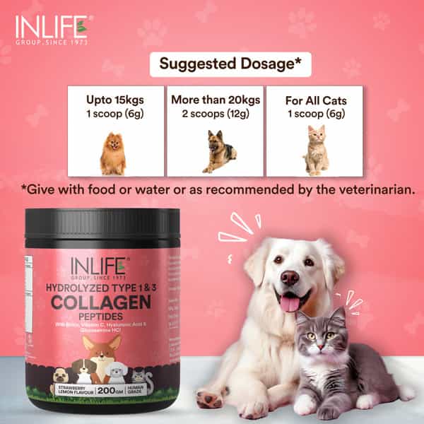 Inlife Collagen For Dogs & Cats| Hydrolyzed Collagen Powder | 200G (Strawberry & Lemon)