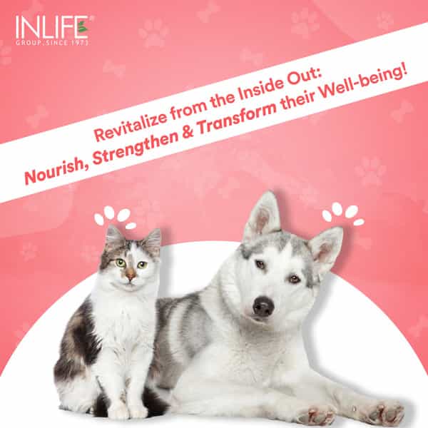 Inlife Collagen For Dogs & Cats| Hydrolyzed Collagen Powder | 200G (Strawberry & Lemon)