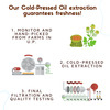 Cold Pressed Mustard Oil For Babies - Pure & Natural Hair And Body Massage Oil - 1000Ml