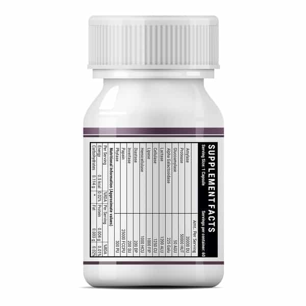 Inlife Digestive Enzymes Supplement For Digestive Support - 60 Vegetarian Capsules
