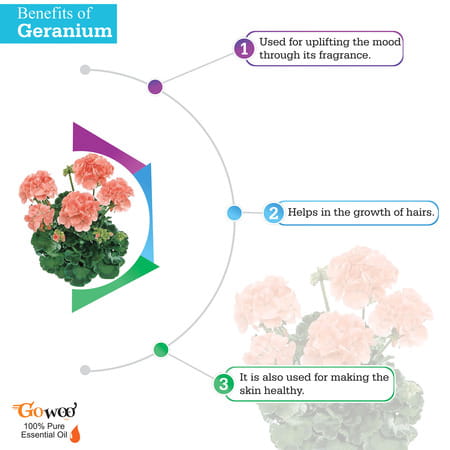 Go Woo 100% Pure Geranium Oil 10 Ml