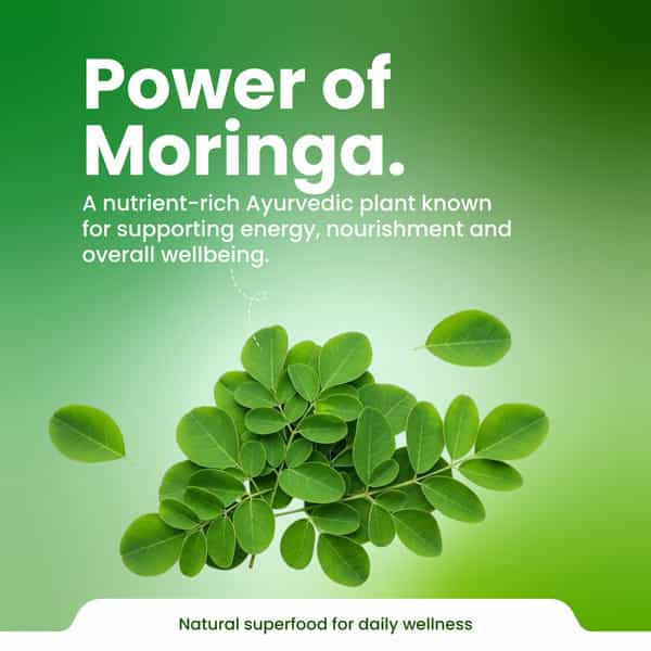 Green Milk Concepts Green Milk Moringa | Energy | Vitality & Metabolic Support | 60 Capsules