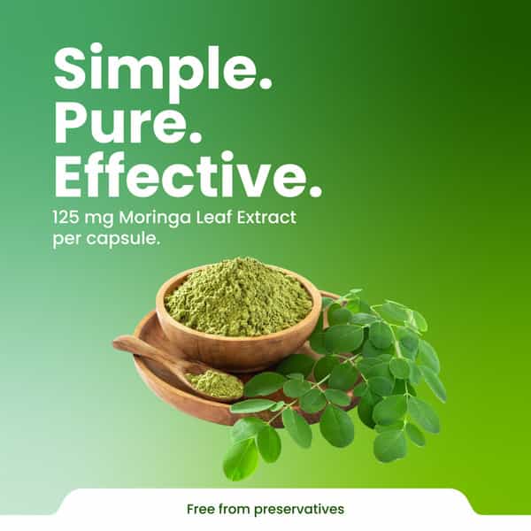 Green Milk Concepts Green Milk Moringa | Energy | Vitality & Metabolic Support | 60 Capsules