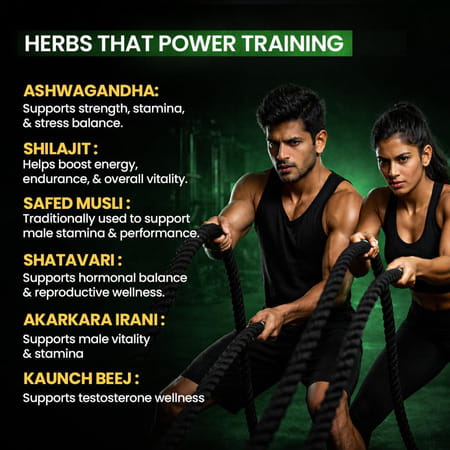 Sheopal'S Testo Booster Supplement Capsules - 60 Capsules