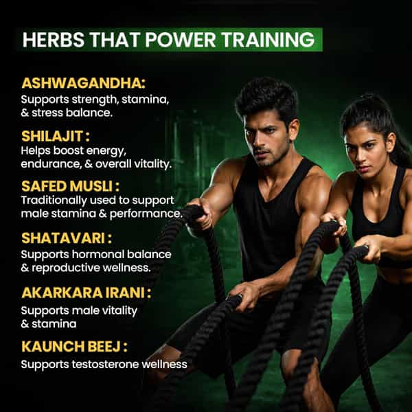 Sheopal's Testo Booster Supplement Capsules - 60 Capsules
