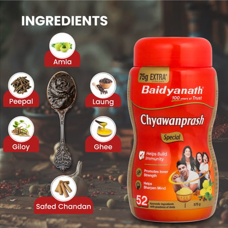 Baidyanath Chyawanprash Special | Ayurvedic Immunity Booster | 500g With 75g Extra