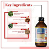 Aimil Amlycure D.s. Syrup For Liver Health Natural Liver Herbal Tonic | (Pack Of 2 | 200 Ml Each)