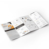 Coviself Covid Self Test Kit