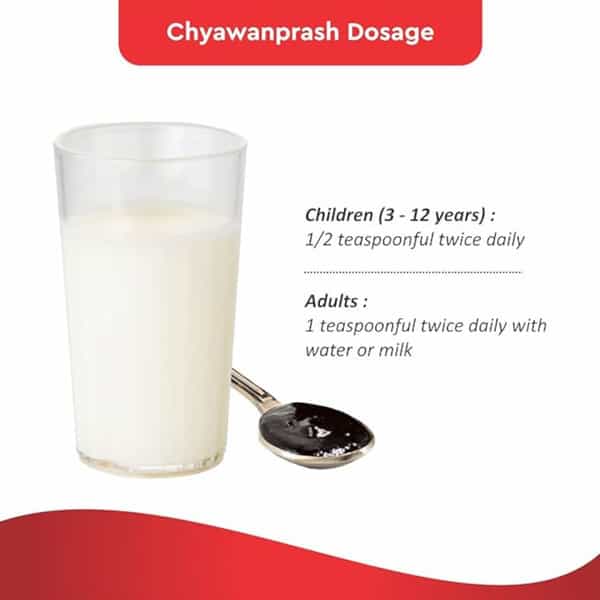 Baidyanath Chyawanprash Special | Ayur Kavach | Jar | 1 Kg | Free 100 Gm
