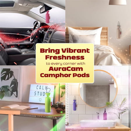 Auracam Gold Standard Camphor Pod Cone (Jasmine) - Set Of 4