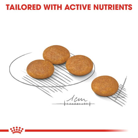 Royal Canin Dermacomfort Mini For Small Dogs | 1 Kg | Proven Results After 2 Months