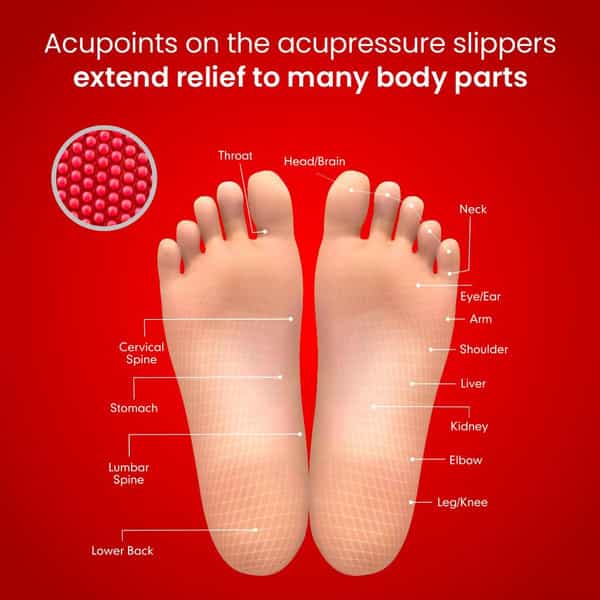 Dr Ortho Slippers (Size 5)