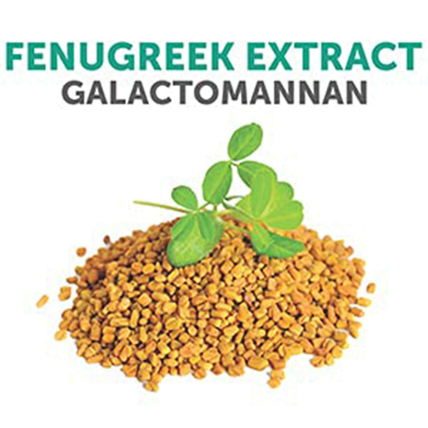 Buy BLISS WELLNESS WEIGHT MANAGEMENT FENUGREEK EXTRACT SUPPLEMENT