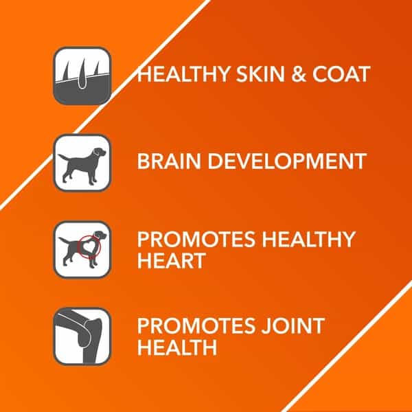 Drools Absolute Salmon Oil Syrup - Dog Supplement 150Ml