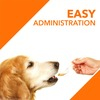 Drools Absolute Salmon Oil Syrup - Dog Supplement 150Ml