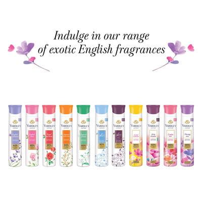 View product image 5