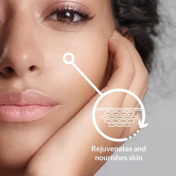Lotus Botanicals Skin Bright Vitamin-C Night Cream 45G