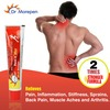 Dr. Morepen Pain-X Max Body Pain Relief Gel/Cream Ointment - 30Gm