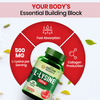 Vlado's Himalayan Organics L-Lysine 500Mg Essential Amino Acid | Supports Heart Health | Veg - 120N