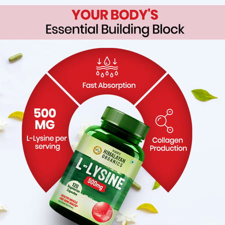 Vlado's Himalayan Organics L-Lysine 500Mg Essential Amino Acid | Supports Heart Health | Veg - 120N