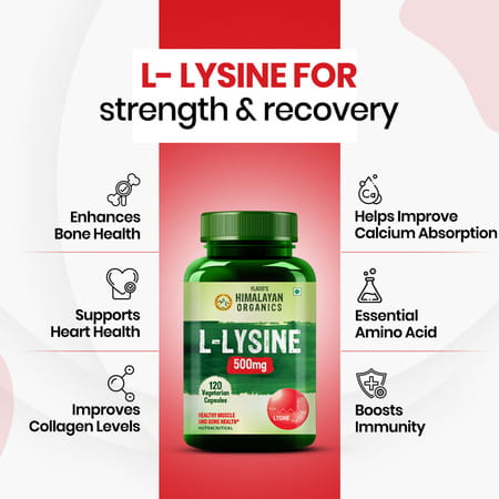 Vlado's Himalayan Organics L-Lysine 500Mg Essential Amino Acid | Supports Heart Health | Veg - 120N