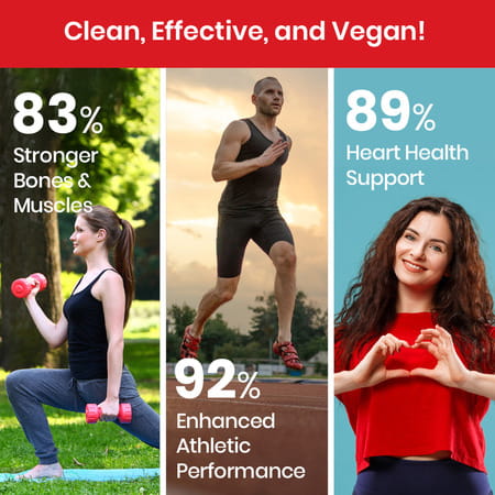 Vlado's Himalayan Organics L-Lysine 500Mg Essential Amino Acid | Supports Heart Health | Veg - 120N
