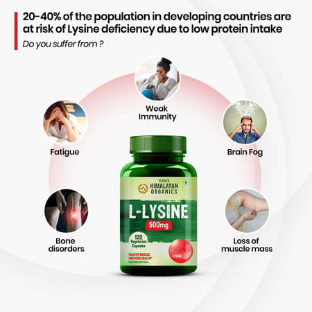 Vlado's Himalayan Organics L-Lysine 500Mg Essential Amino Acid | Supports Heart Health | Veg - 120N