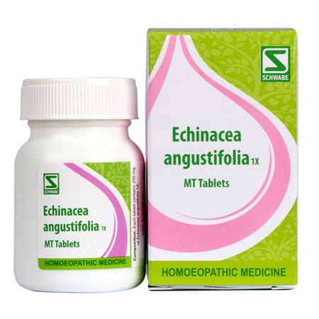 Dr. Willmar Schwabe India Echinacea Angustifolia 1x Mt Tablet 20 Gm