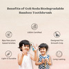 Goli Soda Bamboo Toothbrush - Bpa-Free | Vegan | Verified Non-Toxic - Adult (Pack Of 1)