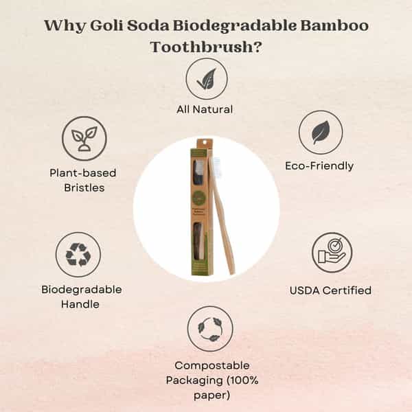 Goli Soda Bamboo Toothbrush - Bpa-Free | Vegan | Verified Non-Toxic - Adult (Pack Of 1)