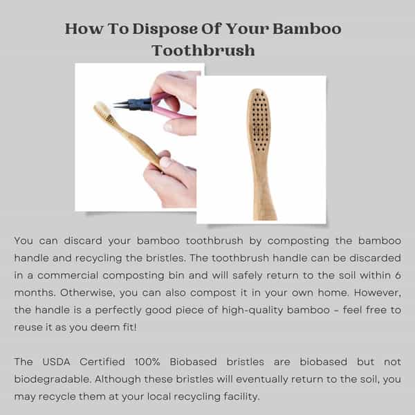Goli Soda Bamboo Toothbrush - Bpa-Free | Vegan | Verified Non-Toxic - Adult (Pack Of 1)