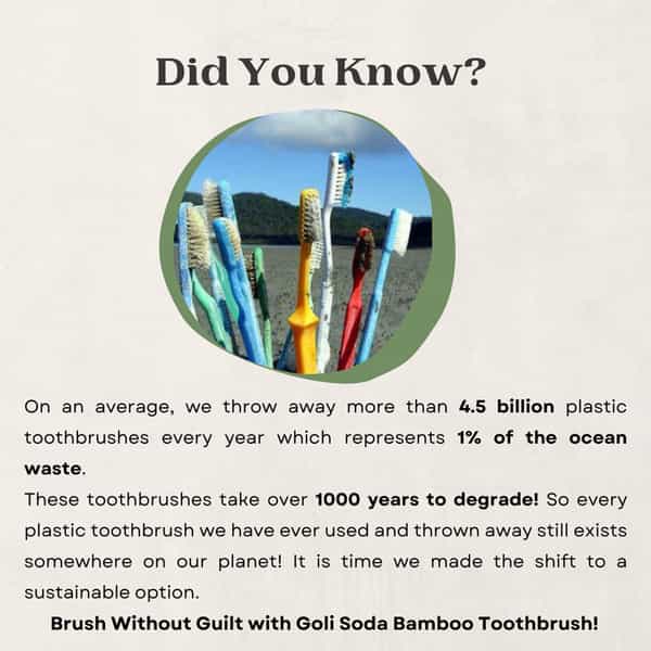 Goli Soda Bamboo Toothbrush - Bpa-Free | Vegan | Verified Non-Toxic - Adult (Pack Of 1)
