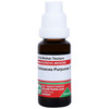 Adel Echinacea Purpurea. Mother Tincture Q 20 Ml