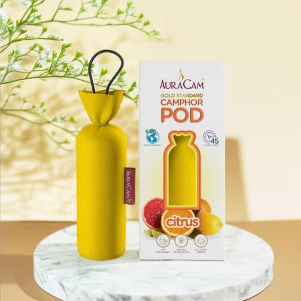 Auracam Gold Standard Camphor Pod Cone (Citrus) - Set Of 4
