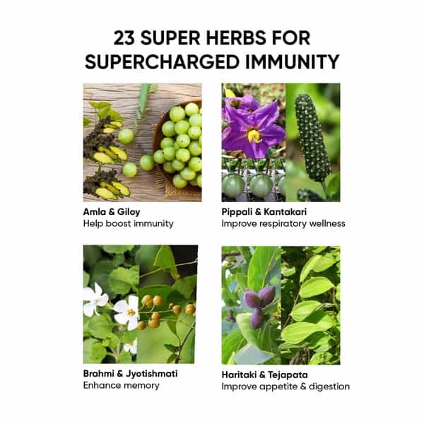 Dr. Vaidya's Immunity Booster Pack - Chyawan Toffees | Kadha Sips | Myprash Daily Health Combo