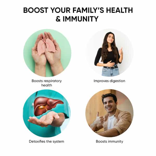 Dr. Vaidya's Immunity Booster Pack - Chyawan Toffees | Kadha Sips | Myprash Daily Health Combo