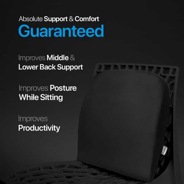 Frido Slim Lumbar Cushion For Back Rest Lumbar Support Relieves Back Pain Improves Posture