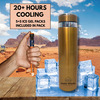 Outer Woods Insulin Cooler Bottle Case With 10 Mini Ice Gel Packs | 20+ Hrs Cooling | Large - Golden