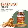 Baidyanath Ayurved Shatavari Tablets 60S | Women's Wellness & Lactation