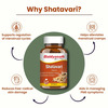 Baidyanath Ayurved Shatavari Tablets 60S | Women's Wellness & Lactation