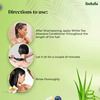 Indalo White Tea Aloe Vera Hair Growth Conditioner For Strengthening & Volumizing Oily Hair - 600Ml