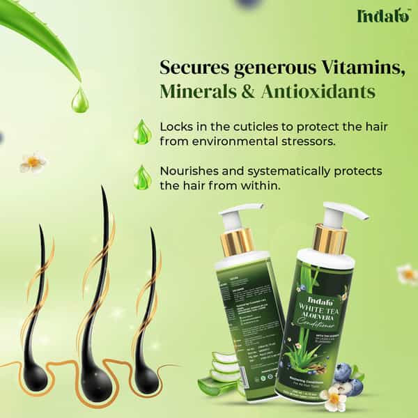 Indalo White Tea Aloe Vera Hair Growth Conditioner For Strengthening & Volumizing Oily Hair - 600Ml