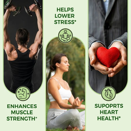 Pure Nutrition Organic Ashwagandha Supplement - 120 Tablets