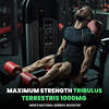 Naturyz Testo-6 Plant Based Supplement For Men With Tribulus, Safed Musli, Ashwagandha (90 Tablets)