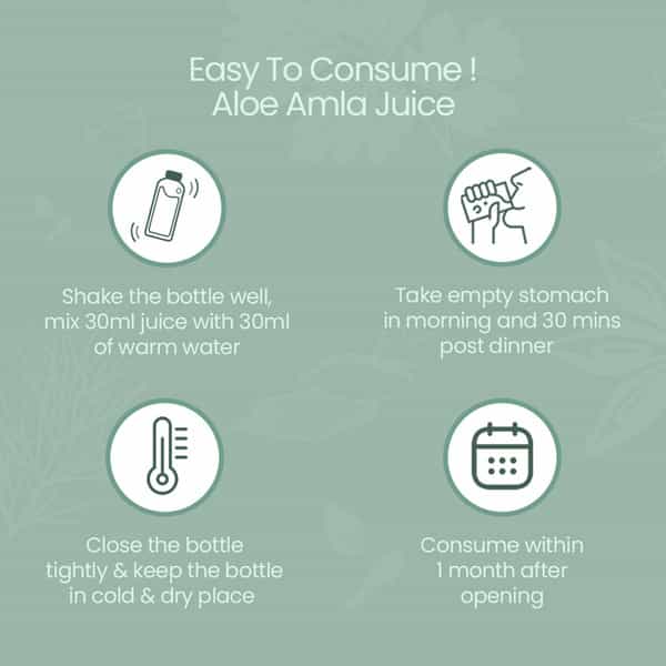 Krishna's Aloe Vera Amla Mix Juice - 1 Litre