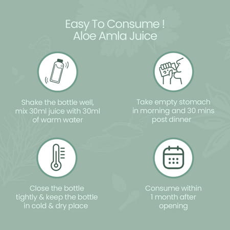 Krishna'S Aloe Vera Amla Mix Juice - 1 Litre