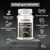 Supplenex Pure Himalayan Shilajit/Shilajeet Gummies With Fulvic Acid & Ksm 66 Ashwagandha | 30N