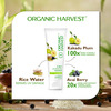 Organic Harvest 3-In-1 Advanced Face Wash: Kakadu Plum, Acai Berry & Rice Water |Paraben-Free, 100Gm